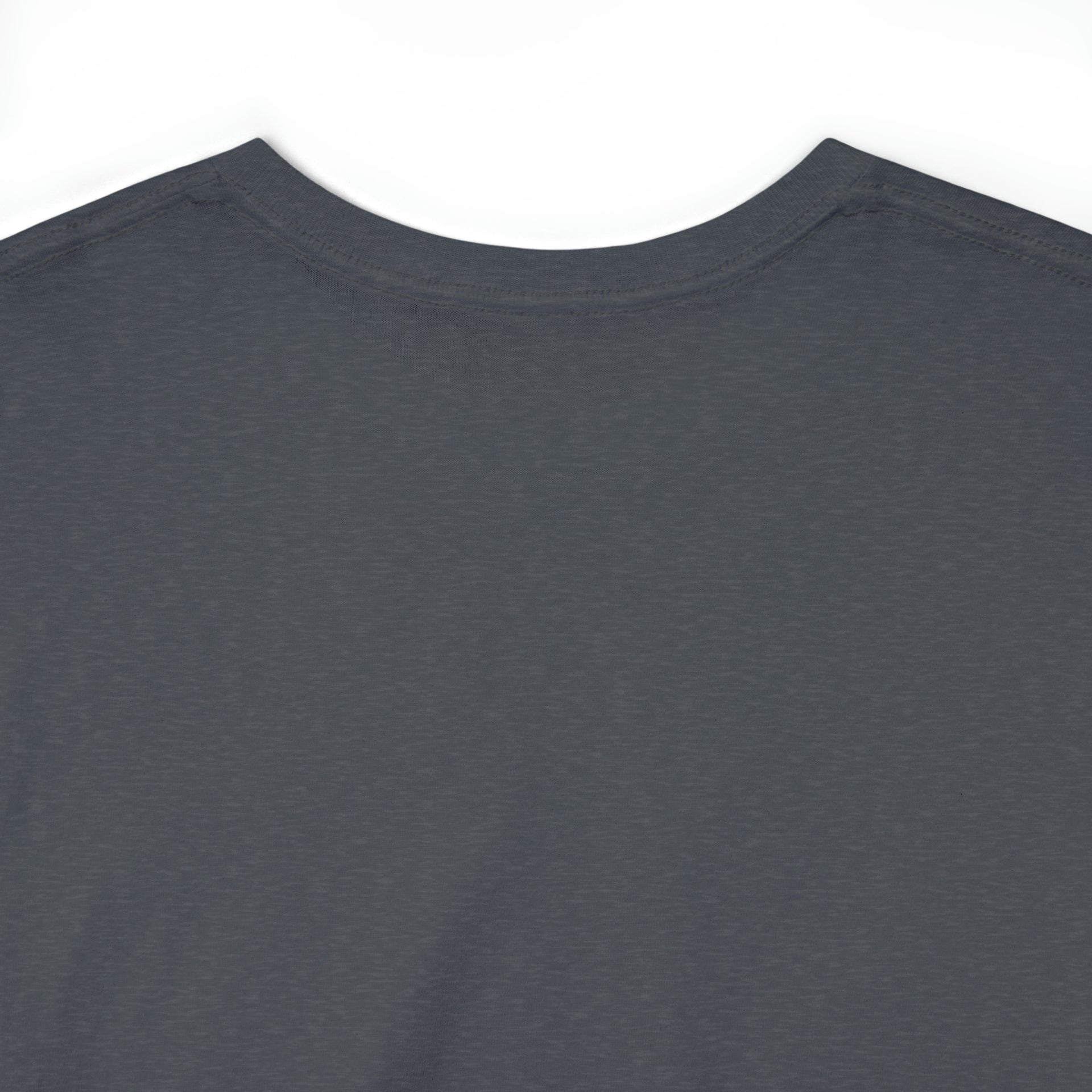 Break systems Unisex Heavy Cotton Tee