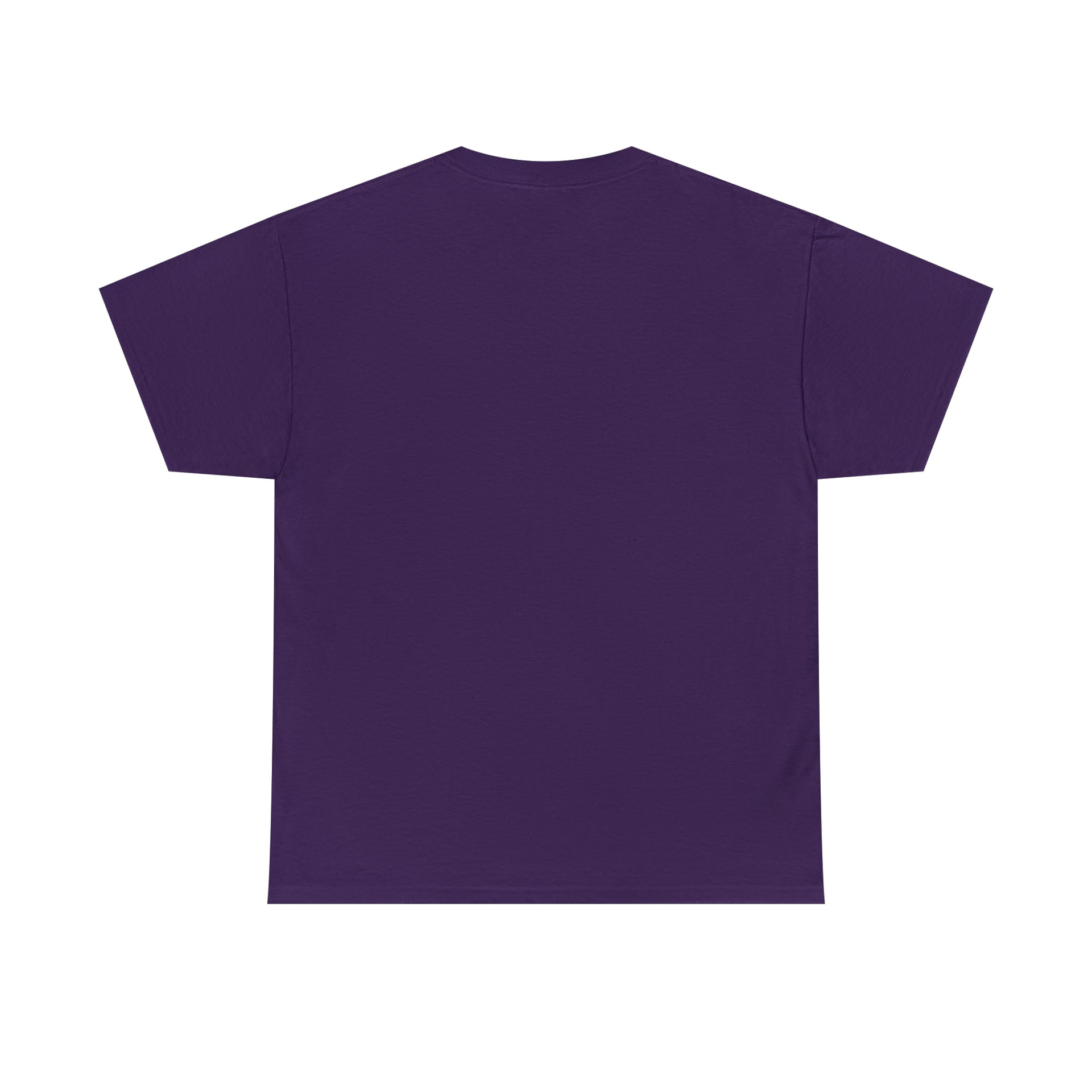 Break systems Unisex Heavy Cotton Tee