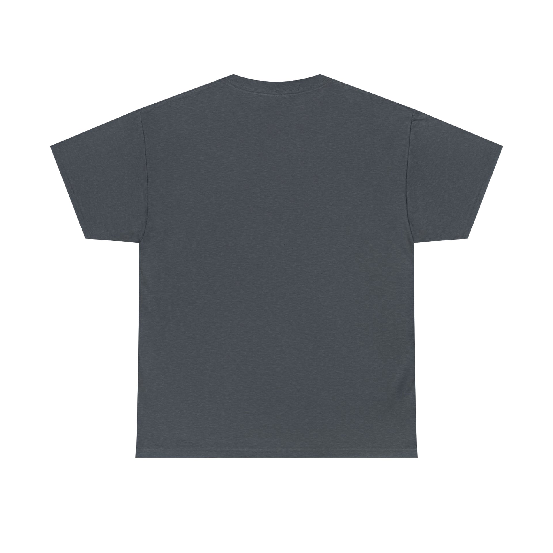 Break systems Unisex Heavy Cotton Tee