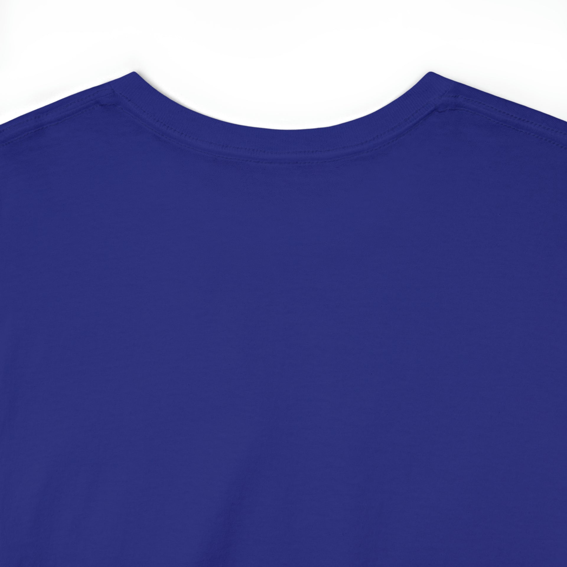 Break systems Unisex Heavy Cotton Tee