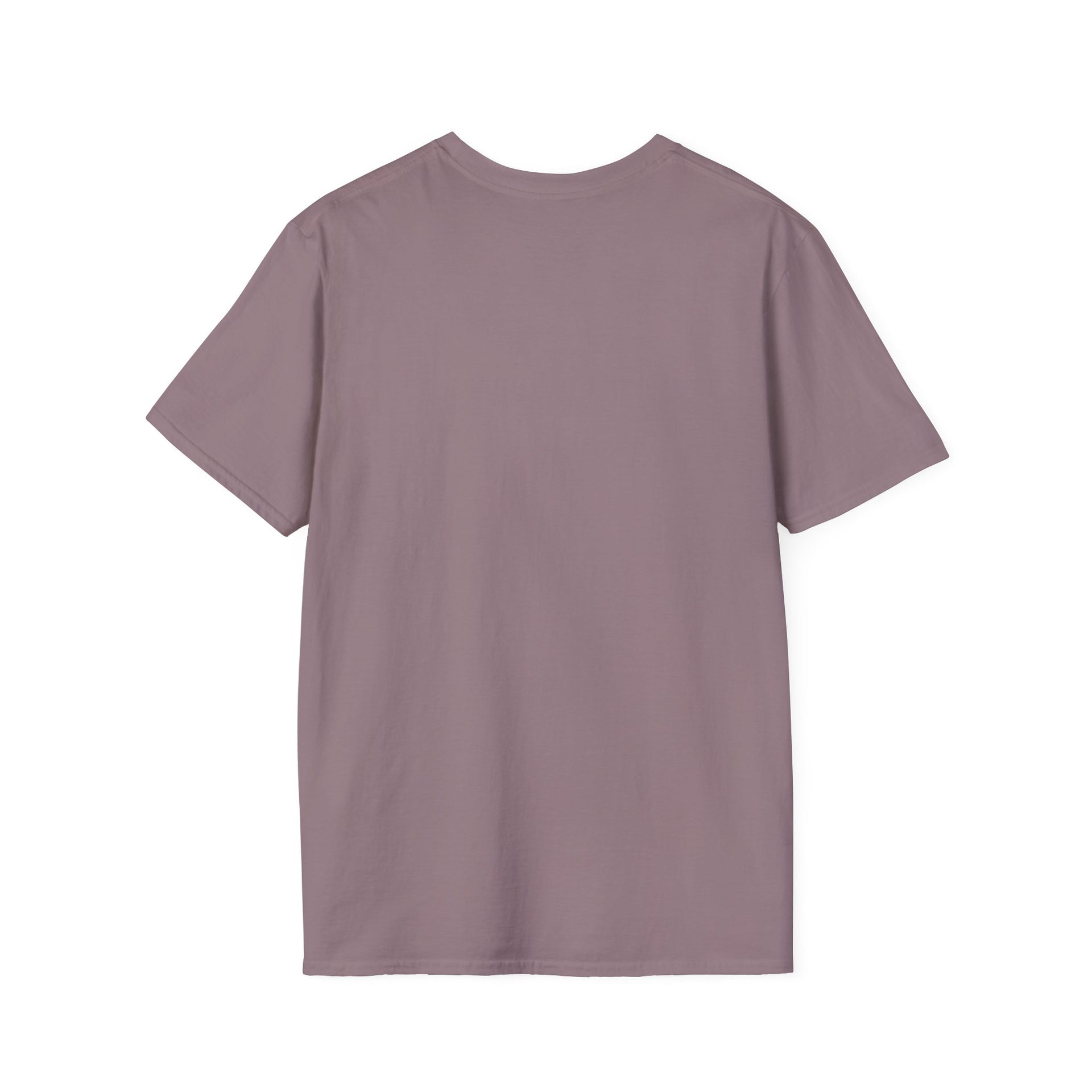 Veilid Unisex Softstyle T-Shirt